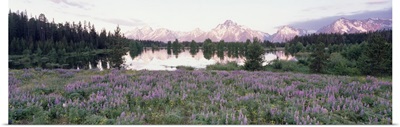 Grand Teton National Park WY