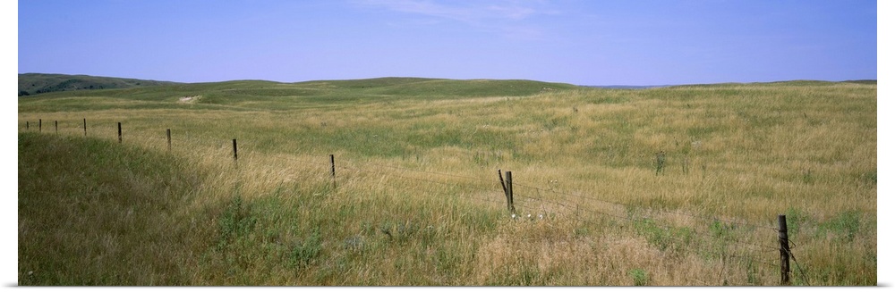Grass on a field, Cherry County, Nebraska