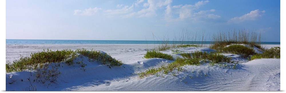 Panoramic photograph shows a few patches of grass sitting on a sandy coastline within the Southeastern United States as th...