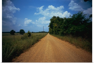 Gravel road passing through a field, Arkansas