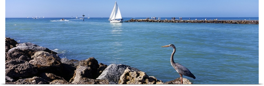 Panoramic photo on canvas of a sailboat sailing out to sea and a big bird standing on a jetty.