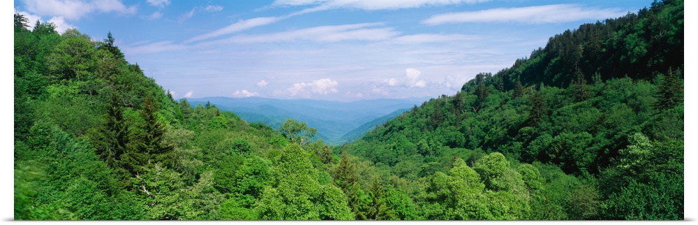 Great Smoky Mountains National Park TN