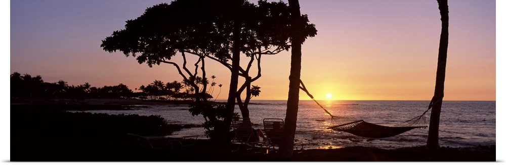 Panoramic photo on canvas of the silhouette of trees and a hammock with the sun setting into the ocean in the distance.