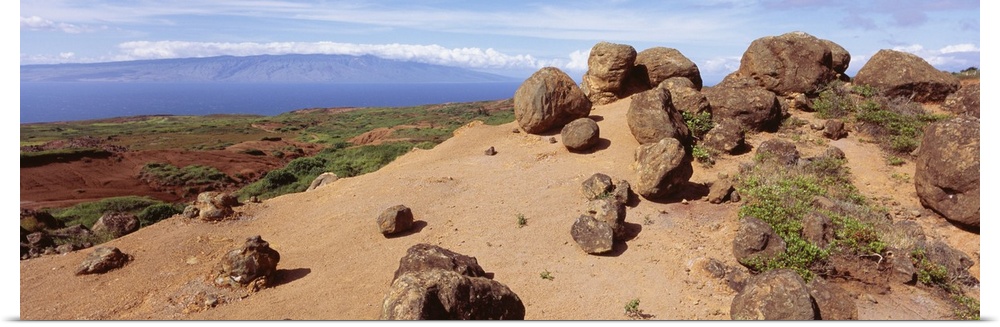 Hawaii, Lanai, Garden of the Gods, Rock formation and uncultivated plant on the mountain