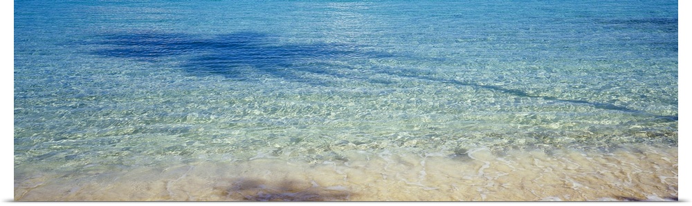Panoramic photograph of crystal clear ocean water at shoreline with the shadow of palm tree reflecting in it.
