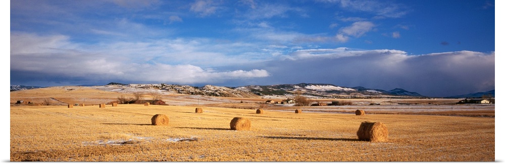 Landscape photograph on a giant wall hanging of a vast, golden filed with hay bales, beneath a bright blue sky in Montana.