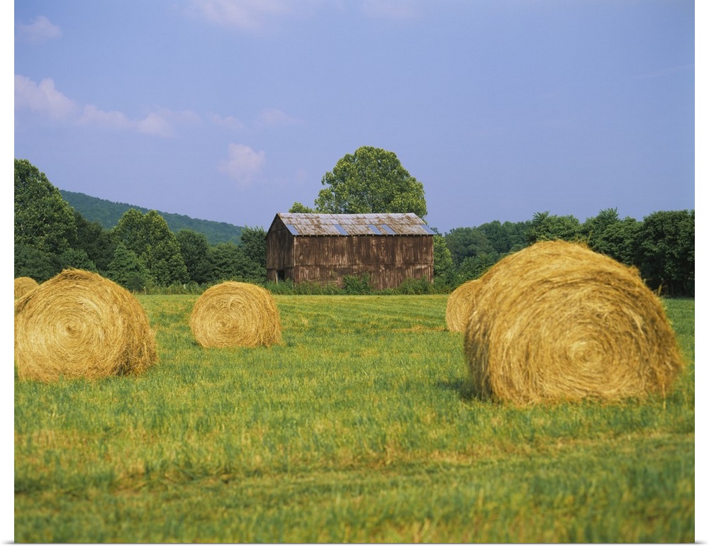 This is a landscape photograph of a field and an old barn on the edge of the forest.