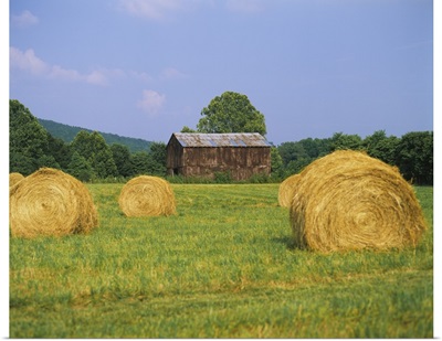 Hay bales in a field, Tennessee