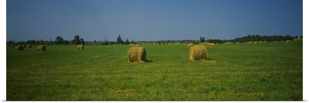 Hay bales on a field, Michigan