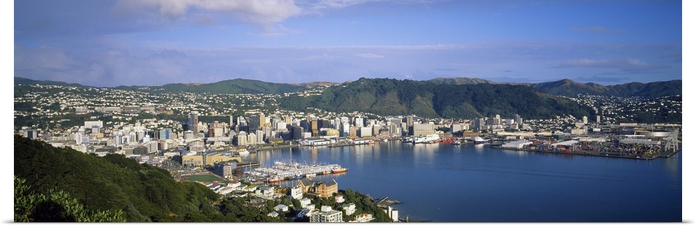 High angle view of a cityscape, Wellington, New Zealand