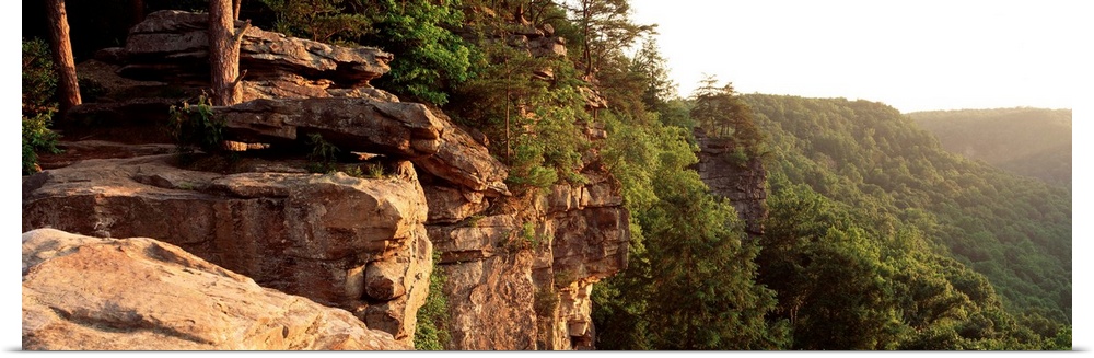 High angle view of a cliff, Creek Falls State Park, Tennessee