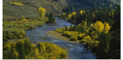 High angle view of a river in the forest, Blue River, Silverthorne, Colorado