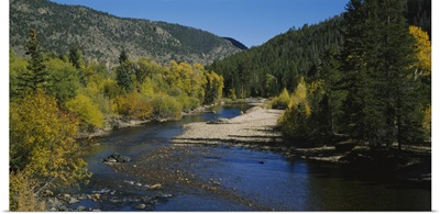 High angle view of a river in the forest, Cache La Poudre River, Colorado