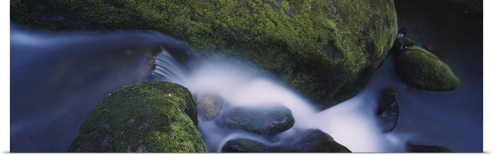 High angle view of a waterfall, Great Smoky Mountains National Park, Tennessee