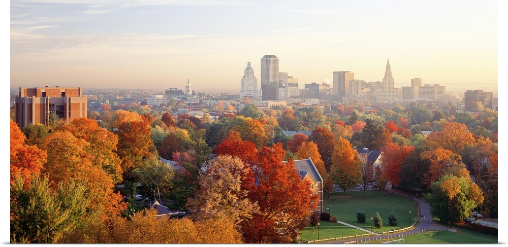 Fall foliage in bright colors with views of the city of Hartford, CT in the background.