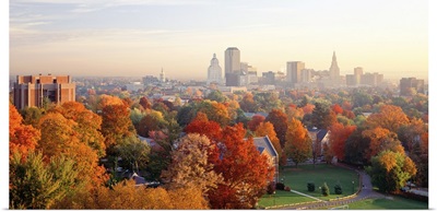 High angle view of autumn trees in a city, Hartford, Connecticut