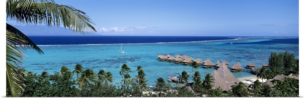 High angle view of beach huts, Kia Ora, Moorea, French Polynesia