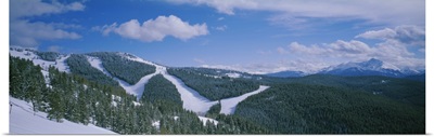 High angle view of evergreen trees on mountains covered with snow, Colorado