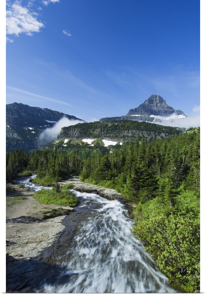 High angle view of Siyeh Creek rushing through pine forest, distant Mount Reynolds against blue sky, Glacier National Park...