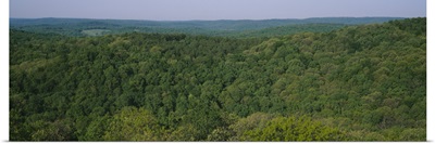 High angle view of trees in a forest, Garden of the Gods Recreation Area, Shawnee National Forest, Illinois