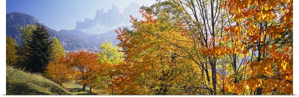 Long photo on canvas of vivid fall foliage with a layer of rolling mountains then rugged mountains in the distance.