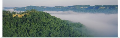 High angle view of trees on hills, Double Arch, Daniel Boone National Forest, Kentucky
