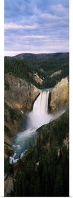 High angle view of waterfall in a forest, Yellowstone Falls, Yellowstone River, Yellowstone National Park, Wyoming
