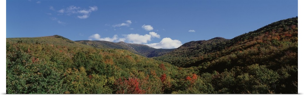 High angle view of White Mountain National Forest, New Hampshire