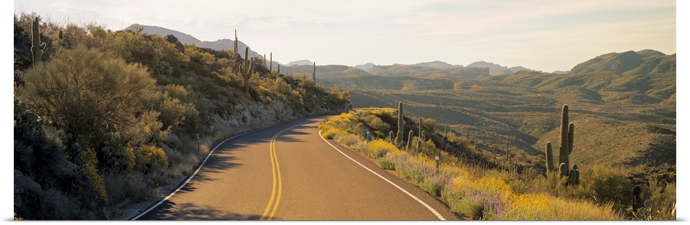 Highway 88 Apache Trail AZ