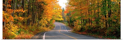 Highway Through a Forest Laurentides Quebec Canada