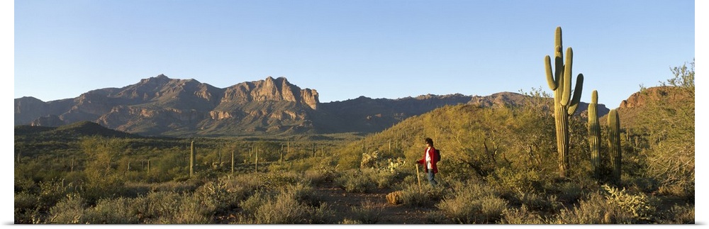 Hiker Superstition Wilderness Area Phoenix AZ