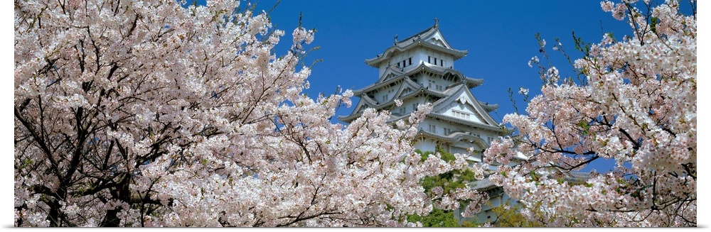 Himeji Castle Hyogo Japan
