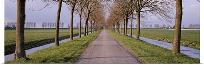 Holland, Meddembeemster, View of a tree lined lane with canals
