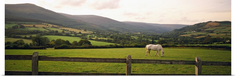 Big canvas photo of a horse grazing in a field with a fence in the foreground and rolling mountains in the distance.