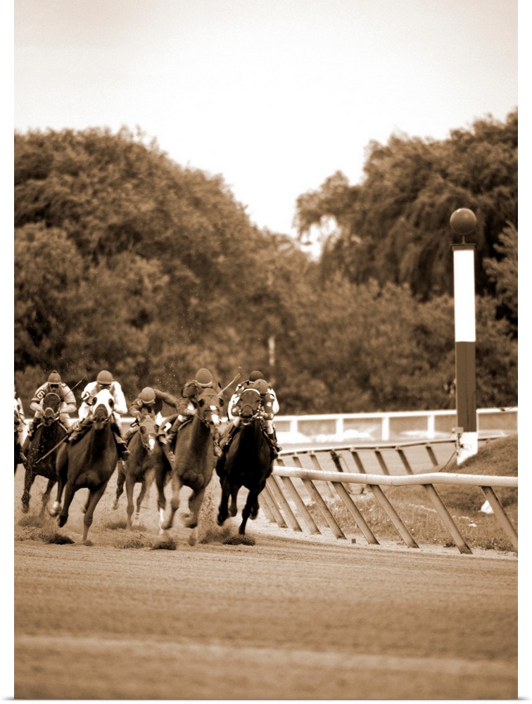 Arlington Park Group of thoroughbred horses comming out of the turn.