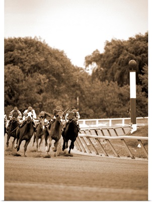 Horse race, Arlington Park, Chicago, Cook County, Illinois