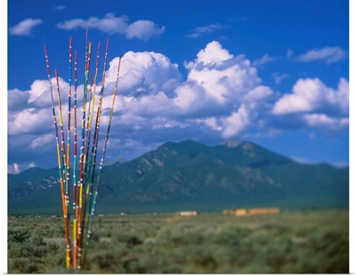 Horse spooker poles on a ground, Taos, Taos County, New Mexico