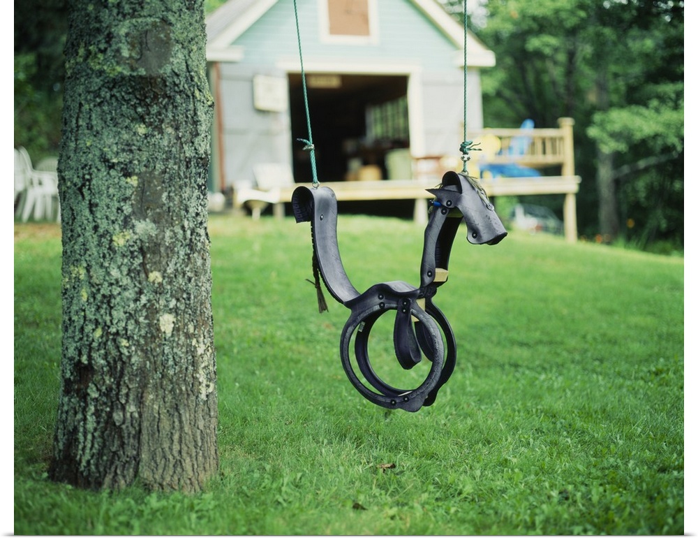 Horse Swing Nova Scotia Canada