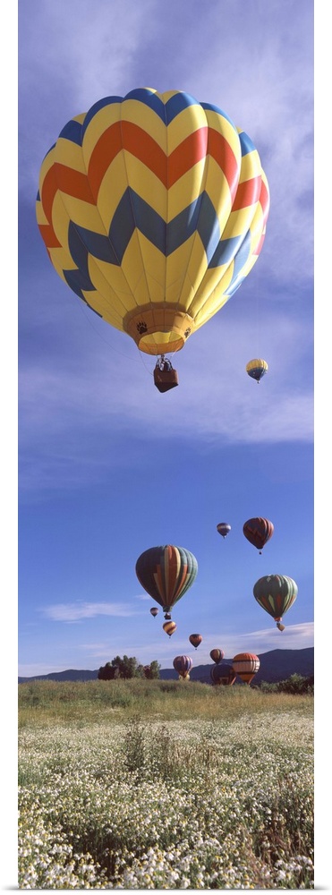 Hot air balloons rising Hot Air Balloon Rodeo Steamboat Springs Routt County Colorado