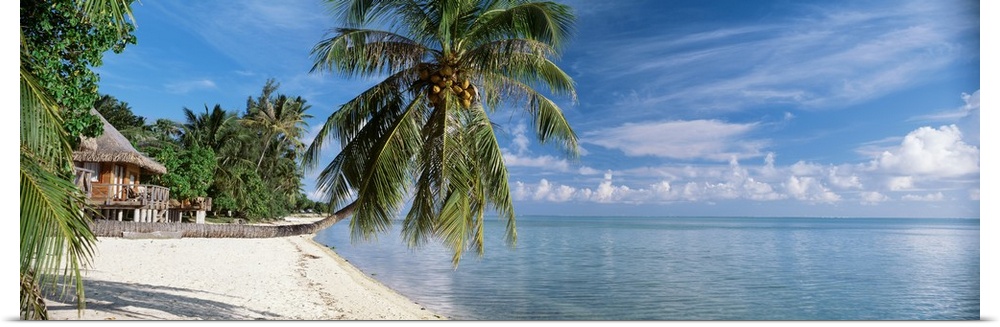A hut on the shoreline of the tropical ocean paradise with a palm tree leaning sideways over the water.