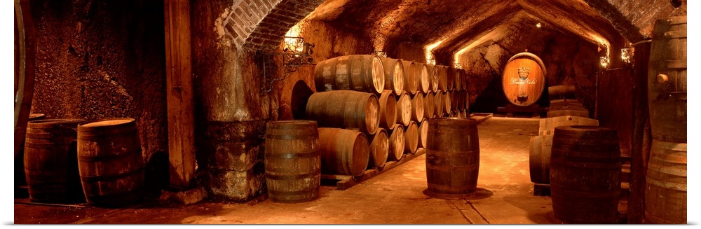 Panoramic photograph shows a group of barrels filled with fermented grape juice as they sit within an underground room in ...