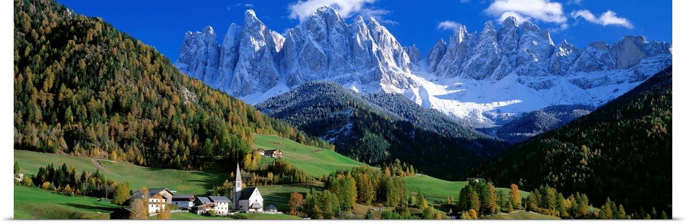 The snow covered Alps tower over a quiet valley filled with conifer trees in this panoramic photograph.