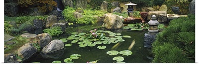 Japanese Garden, University of California, Los Angeles, California