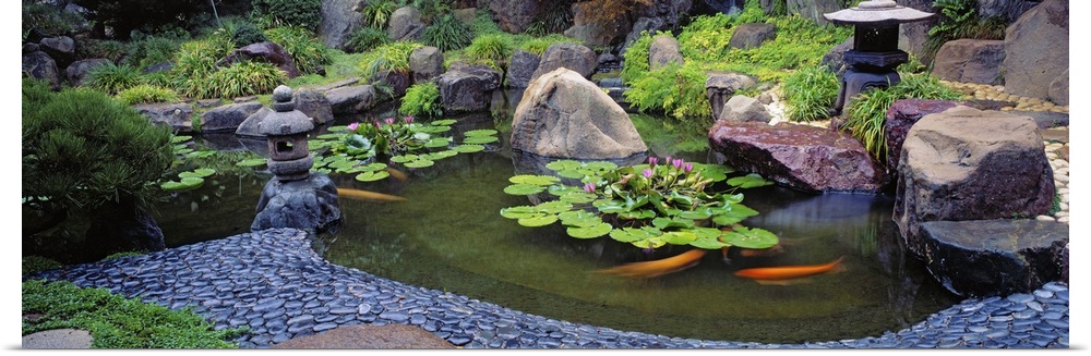 Japanese Garden, University of California, Los Angeles, California