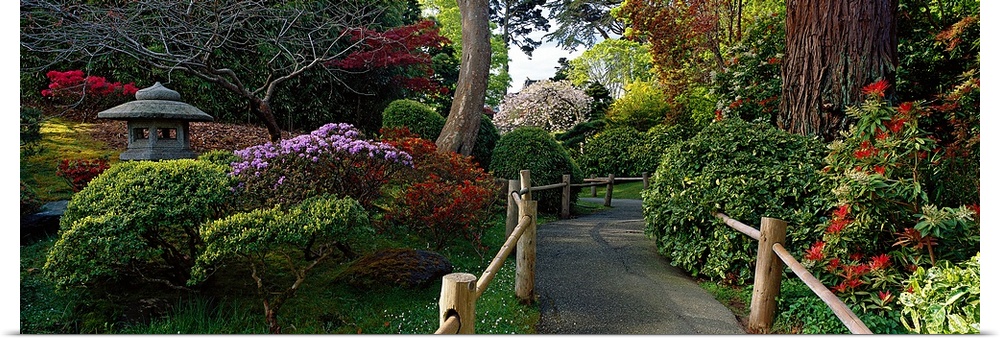 Wide angle photograph of a path leading through a green and floral Japanese tea garden, in San Francisco.