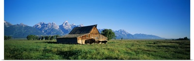 John Moulton Barn in field with bison, Grand Teton National Park, Wyoming