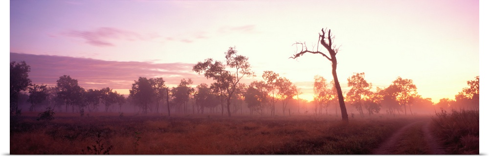 Kakadu National Park Northern Territory Australia
