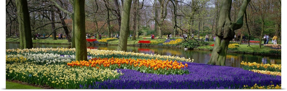 Keukenhof Garden Lisse The Netherlands