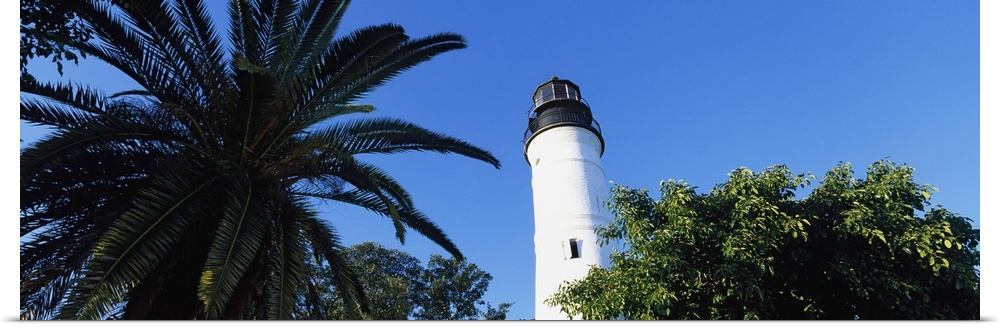 Landscape, low angle photograph of  a lighthouse surrounded by tree tops, against a clear blue sky, in Key West, Florida.