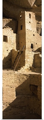 Ladder at house, Cliff Palace, Mesa Verde National Park, Colorado